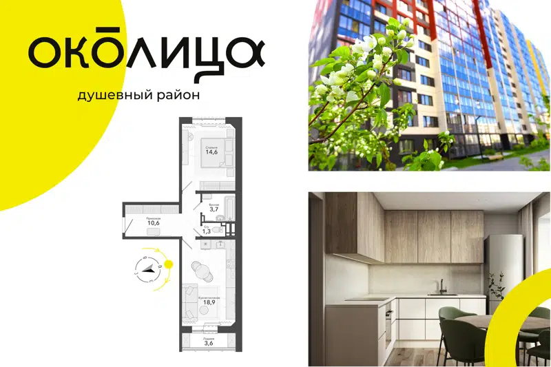 2-комнатная квартира 48.8 м² Околица
