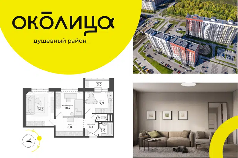 2-комнатная квартира 50.9 м² Околица