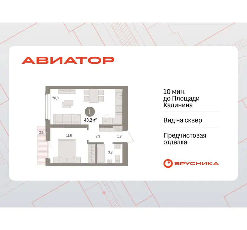 1-комнатная квартира 43.16 м² Авиатор