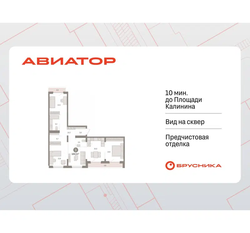 3-комнатная квартира 100.49 м² Авиатор