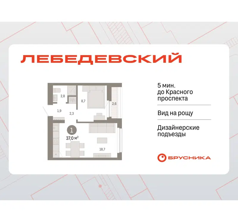  37 м² Лебедевский