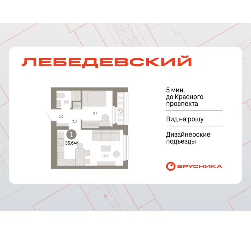  36.6 м² Лебедевский