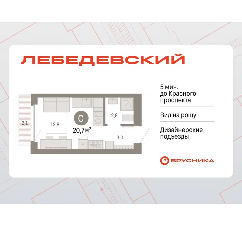  20.7 м² Лебедевский