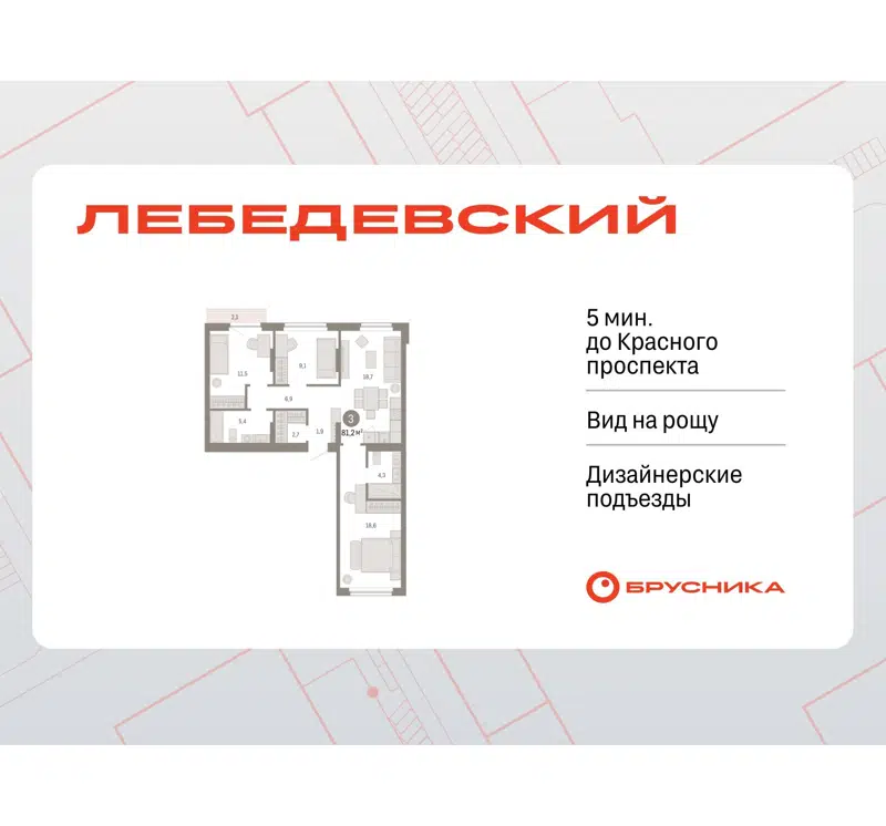  81.2 м² Лебедевский